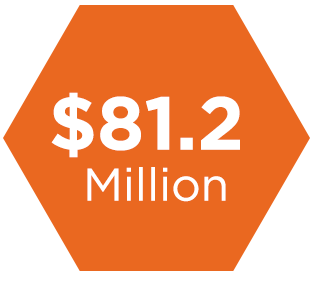 Hexagonal infographic showing the number 81.2 Million.