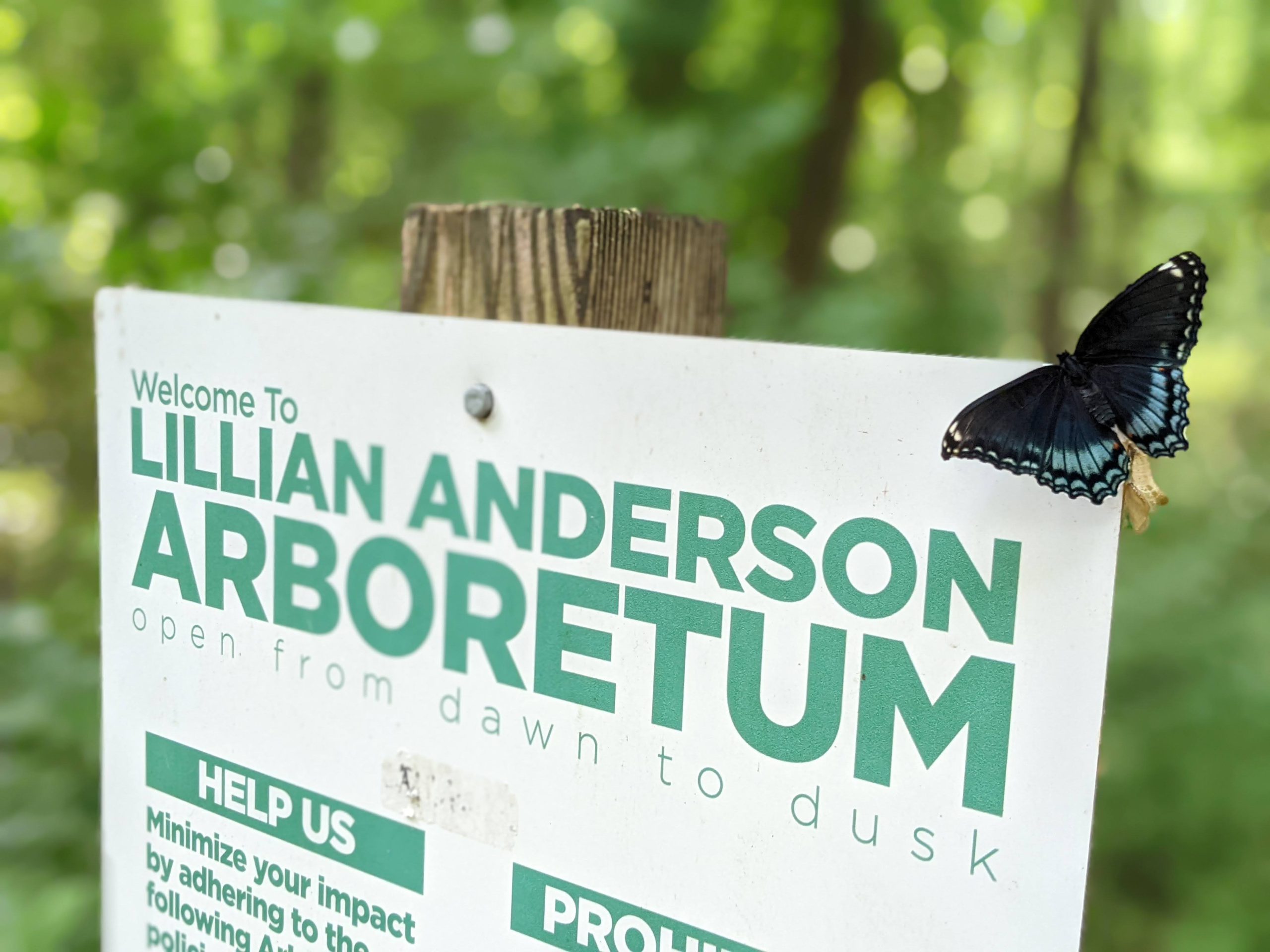 Local Grants Help the Arboretum Bloom 